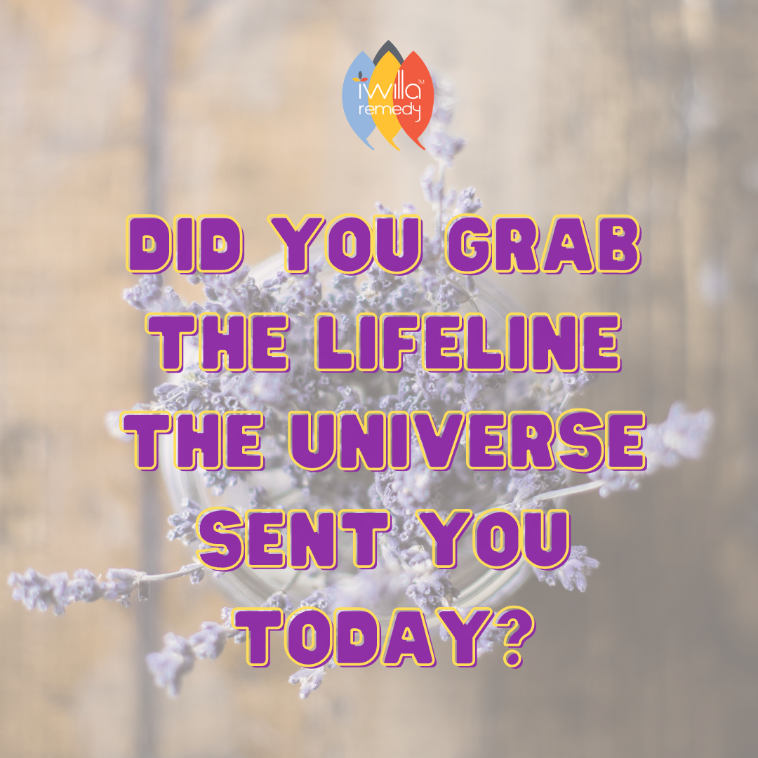 Did you grab the lifeline the universe sent you today?