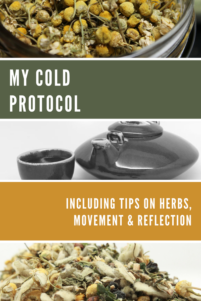 My Cold Protocol includes herbs, movement and meditations