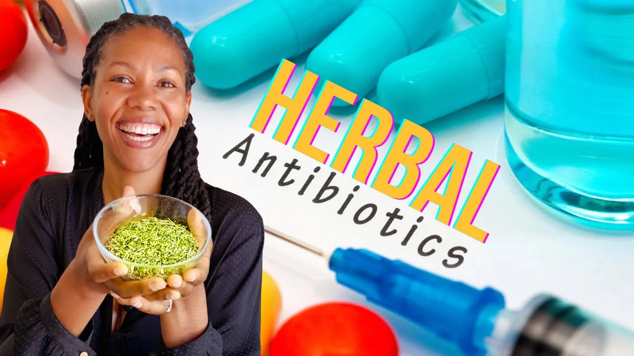 Herbal Antibiotics - What Herbs to Use