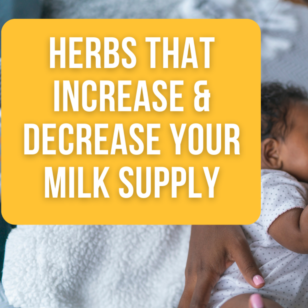 Boost or Reduce Your Milk Supply Naturally with These Herbs for Lactation