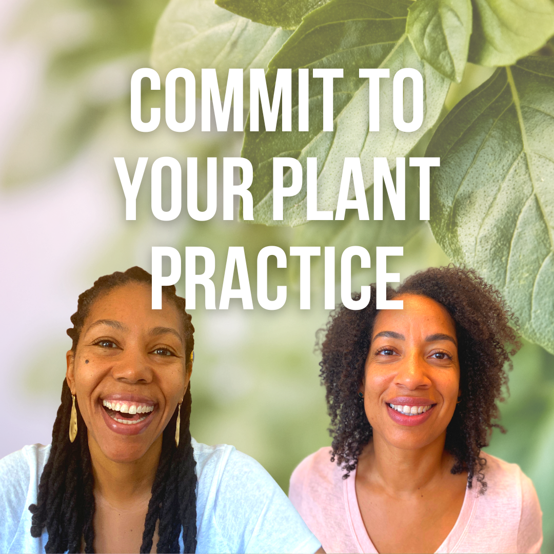 How to be more consistent in your herbal practice?
