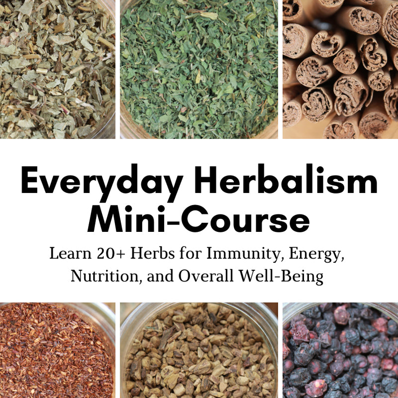 Everday Herbalism Course image with herbs pictured.