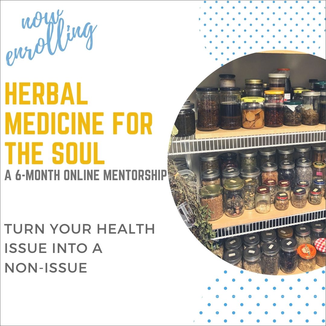 Herbal Medicine for the soul image with jars full of herbs.
