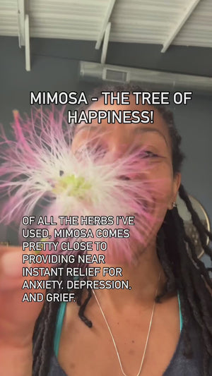 Mimosa Flower & Bark Tincture | Tree of Happiness