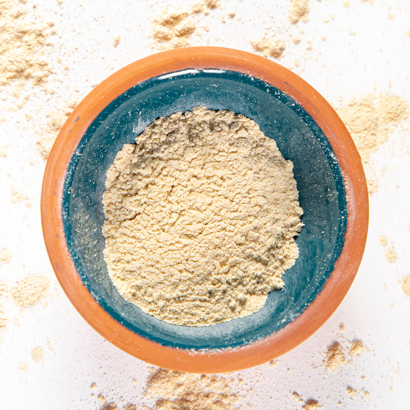 Astragalus Root Powder herb in blue clay bowl with white background and herb surrounding.