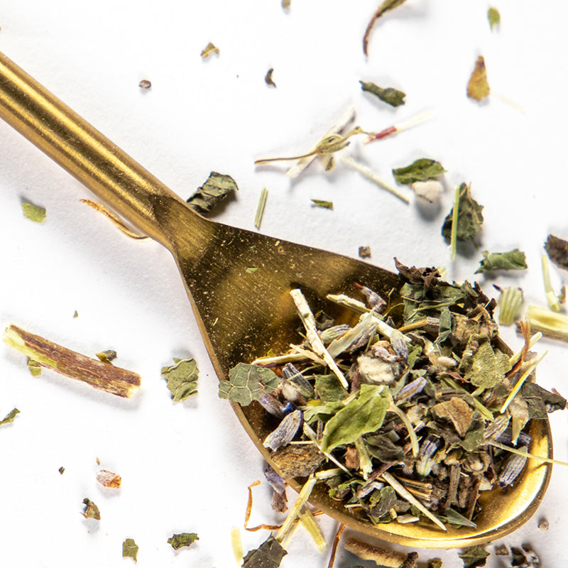 Gold spoon holding loose leaf herb of green and brown herbs of Oat Straw, Mullein, Lemon Balm, Skullcap and Lavender.