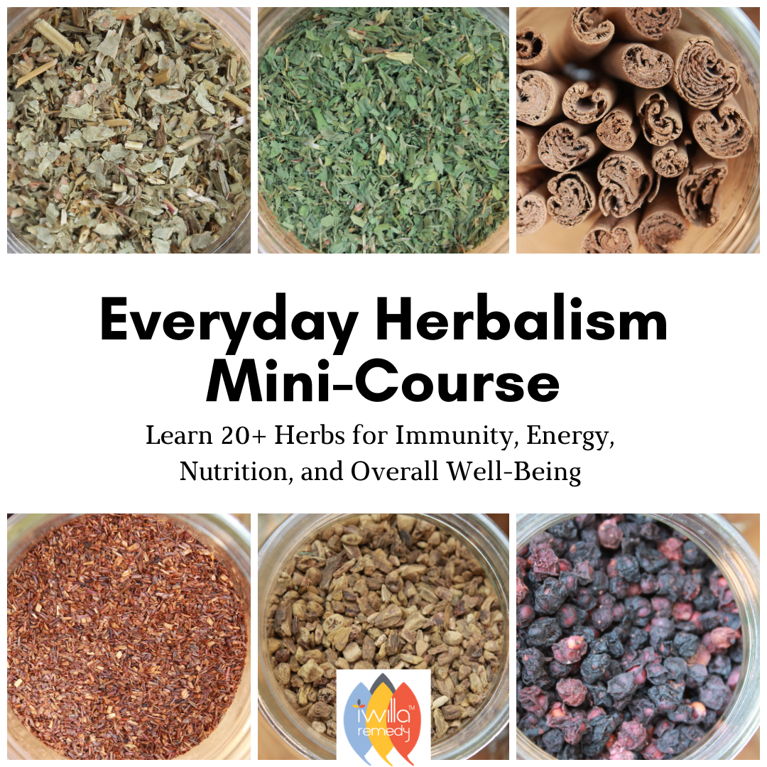 Picture of Herbs with text Everyday Herbalism Mini-Course.