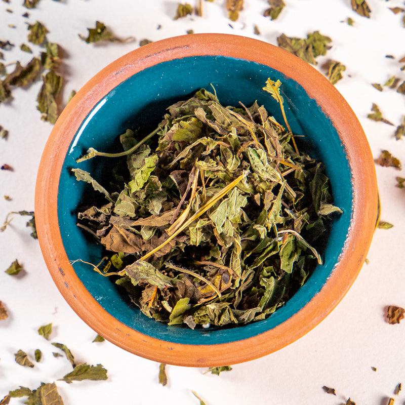 Lemon Balm herb in blue clay bowl with white background and herb surrounding.