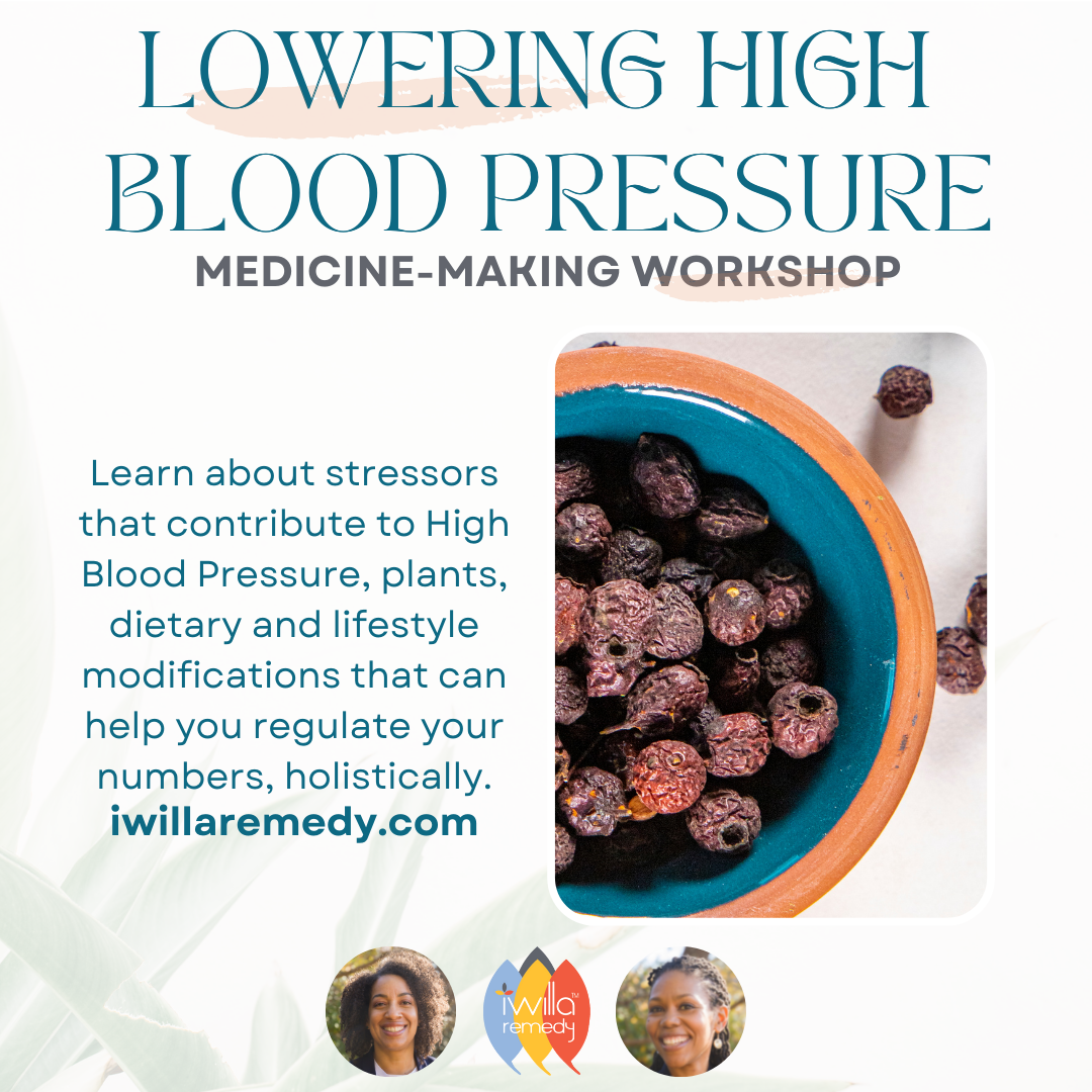 Lowering High Blood Pressure Medicine Making Workshop