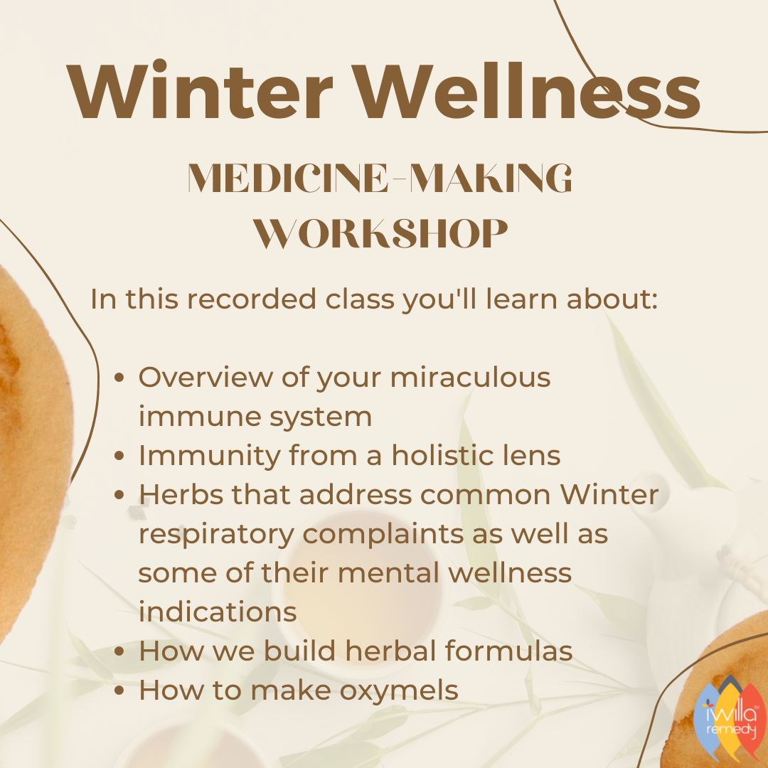 Winter Wellness Medicine-Making Workshop | Online Learning