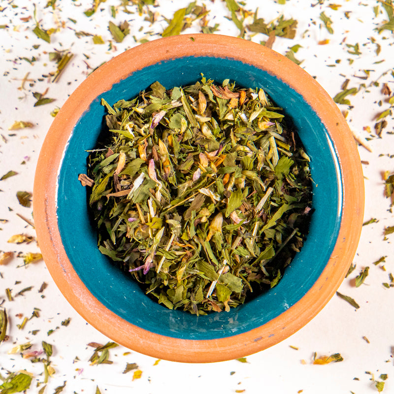 Red Clover herb in blue clay bowl with white background and herb surrounding.